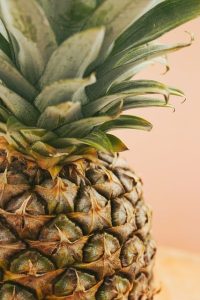 De wonderlijke wereld van de ananasplant: groei, verzorging en weetjes